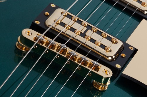 Schecter Coupe