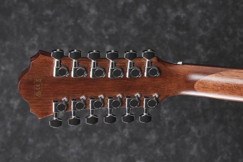 Ibanez AE2912
