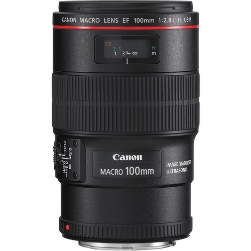 Canon 100mm f/2.8L EF IS USM Macro