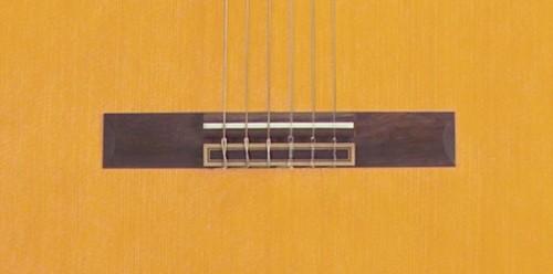 Takamine C132S