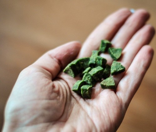 CANVIT Urinary 0.1 kg