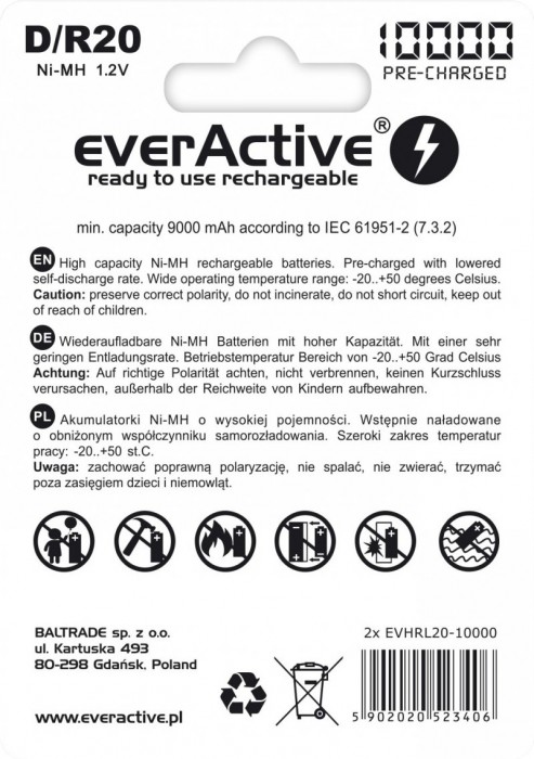 everActive Professional Line 2xD 10000 mAh