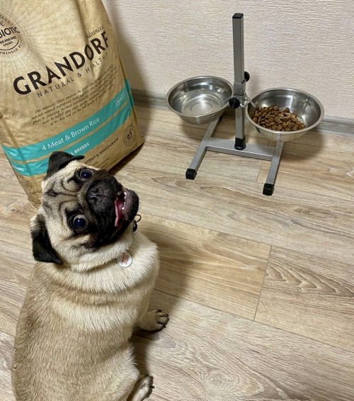 Grandorf Adult All Breed 4 Meat/Rice 3 kg