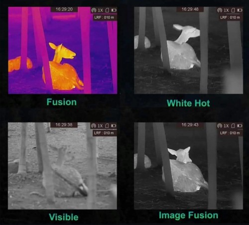 Hikmicro Gryphon LRF GH25L