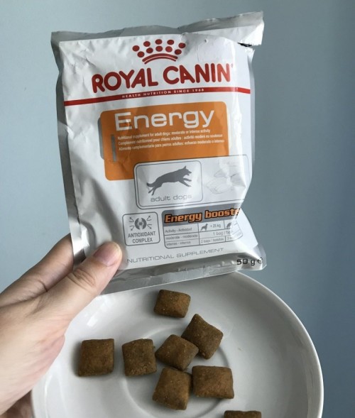 Royal Canin Energy