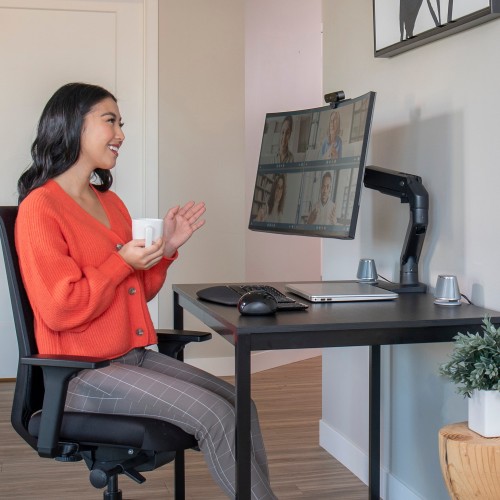 Ergotron HX Desk Monitor Arm