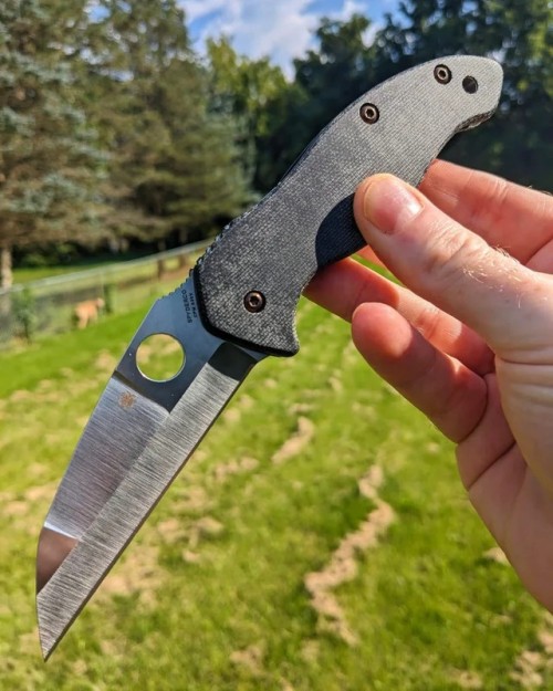 Spyderco Canis C248CFP