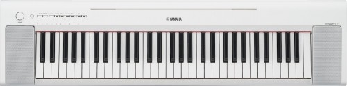 Yamaha NP-15