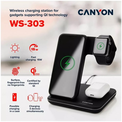 Canyon CNS-WCS303DG