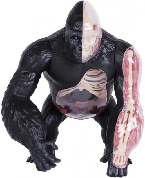 4D Master Gorilla 622012