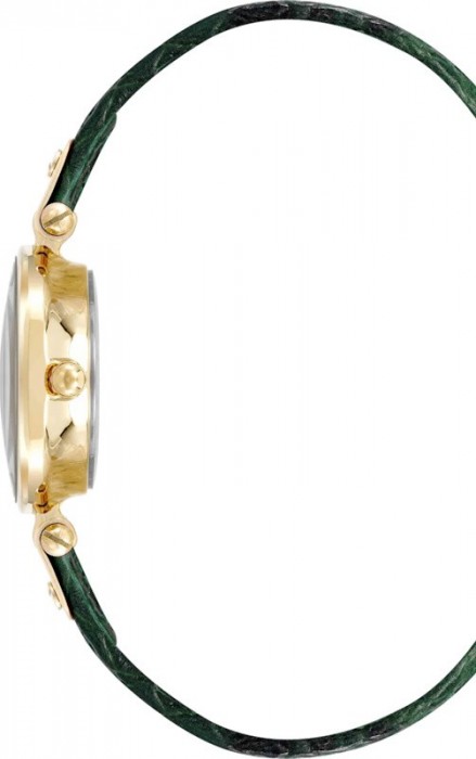 Anne Klein AK/5144CHGN