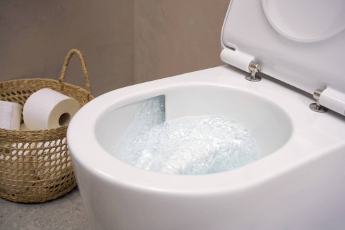 Hansgrohe EluPura S 62025450