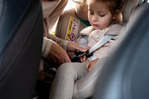 RECARO Xenon 1