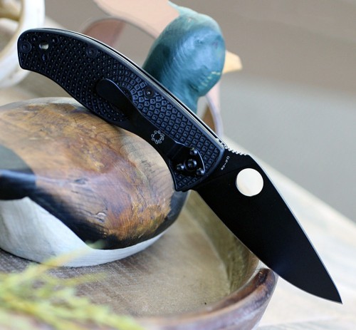 Spyderco Tenacious FRN BB