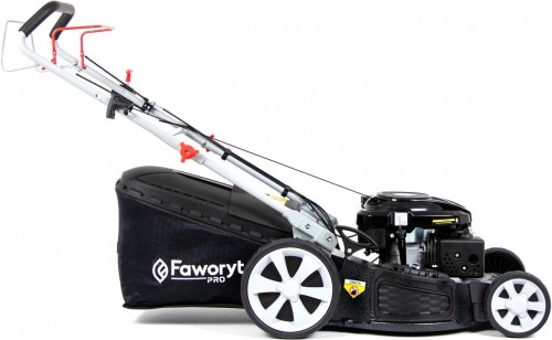 FAWORYT Pro MP53 SLA