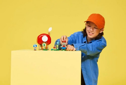 Lego Party at Toads House 72041