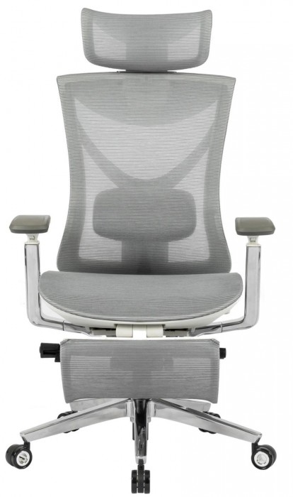 ADAPWORK S1 Mesh Pro Max Senior ErgoChair