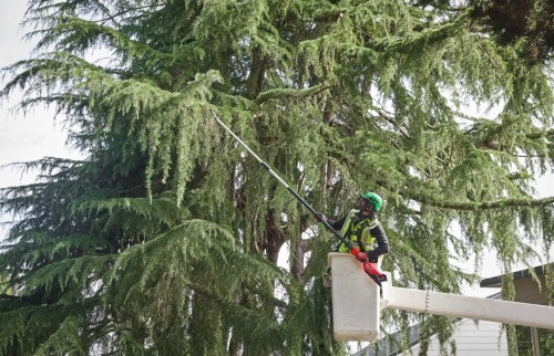 Milwaukee M18 FTPS30-0