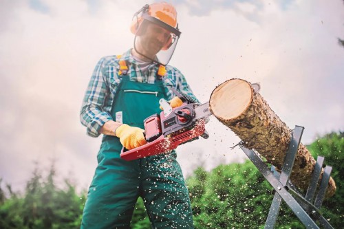 Einhell Professional GP-LC 36/35 Li Solo