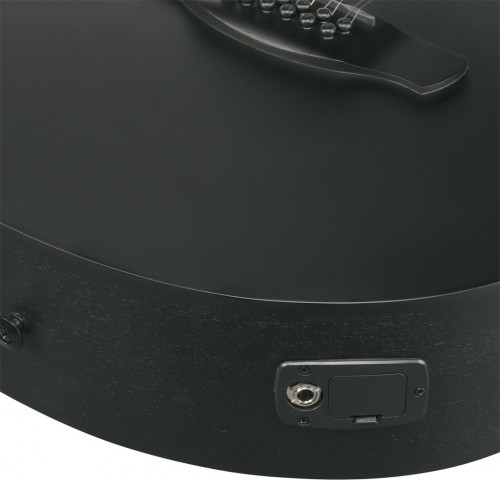 Ibanez AEG1221