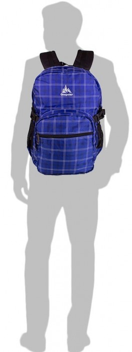 Рюкзак One Polar 1573