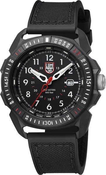 Luminox 1001