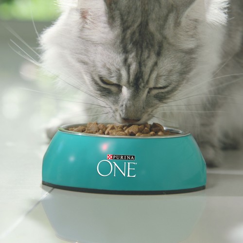 Purina ONE DualNature Spirulina Chicken 0.68 kg