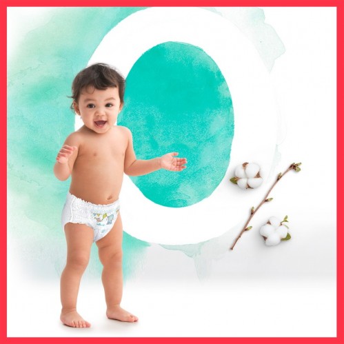 Pampers Harmonie Pants 6