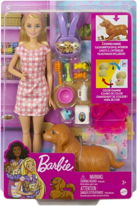 Barbie Doll And And Newborn Pups Playset With Dog HCK75