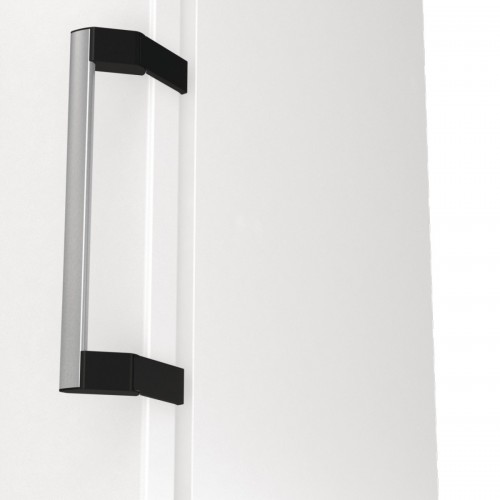 Gorenje FNP 619 EAW6L