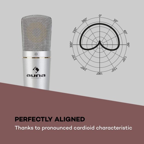 Auna MIC-920
