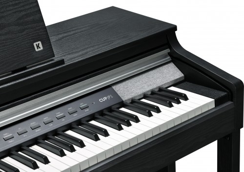 Kurzweil CUP P1