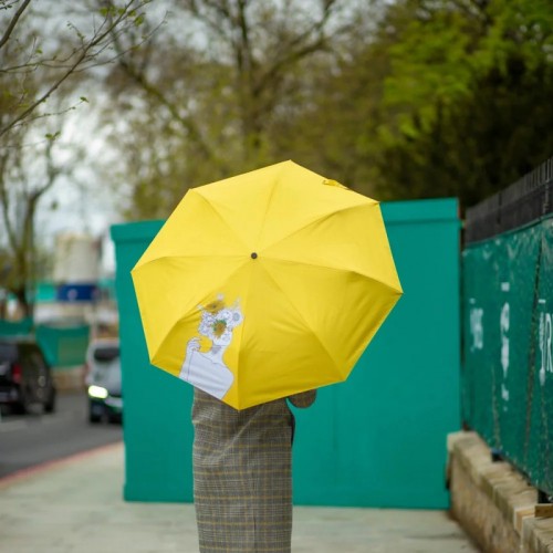 Fulton National Gallery Minilite-2 UV Sunflowers