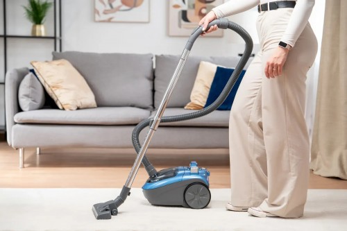 Zelmer Radek ZVC 032 P