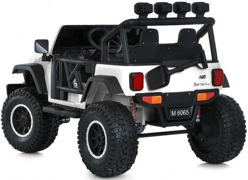 Bambi M6065EBLR