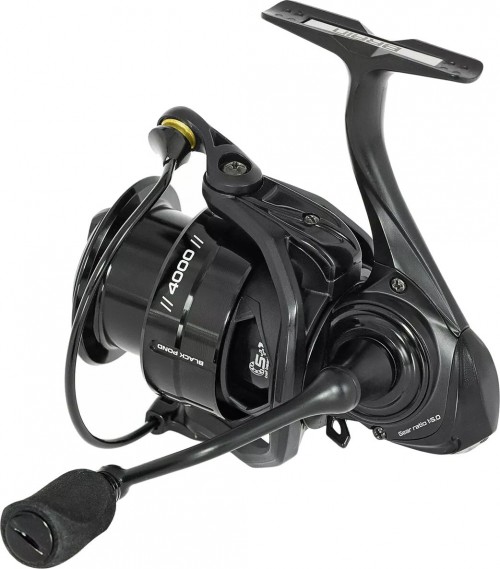 Brain Black Pond 3000