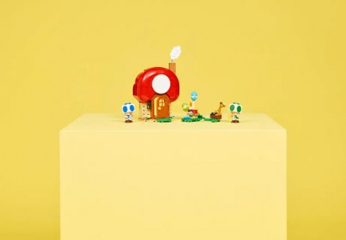 Lego Party at Toads House 72041