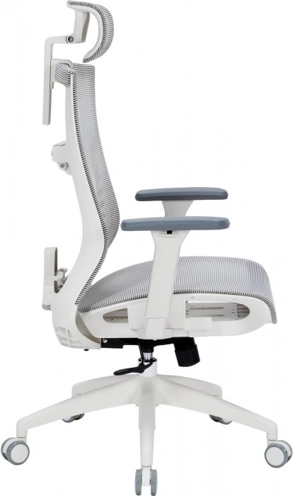 OfficePro Balance OC620