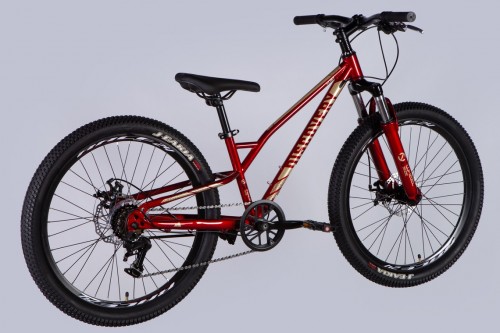 Discovery Flint DD FR 24 2025