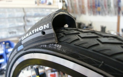 Schwalbe Marathon Plus Evolution Wired