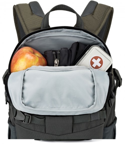 Lowepro Flipside Trek BP 250 AW