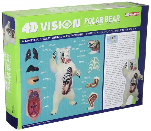 4D Master Polar Bear 26097