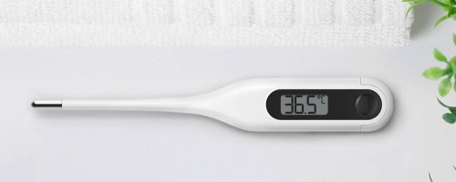 Xiaomi Electronic Thermometer