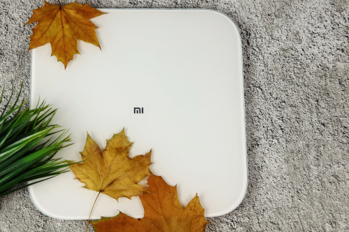 Xiaomi Mi Smart Scale 2