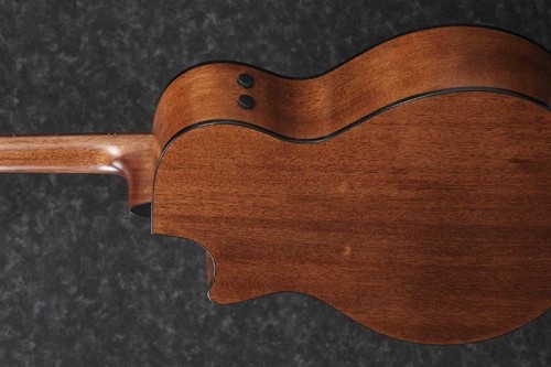 Ibanez AE2912