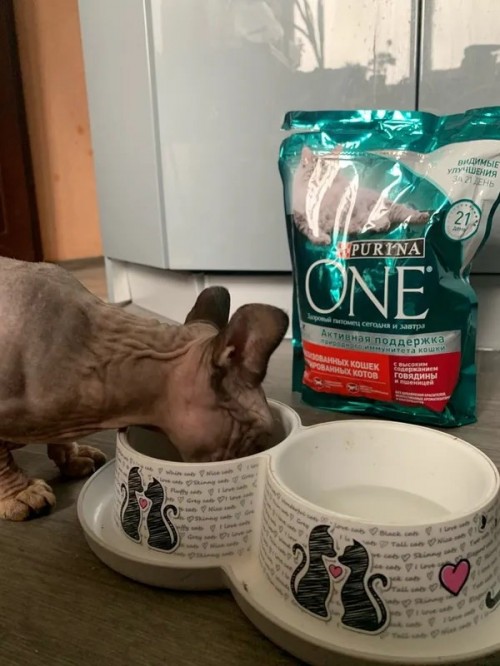 Purina ONE Sterilized Beef 3 kg