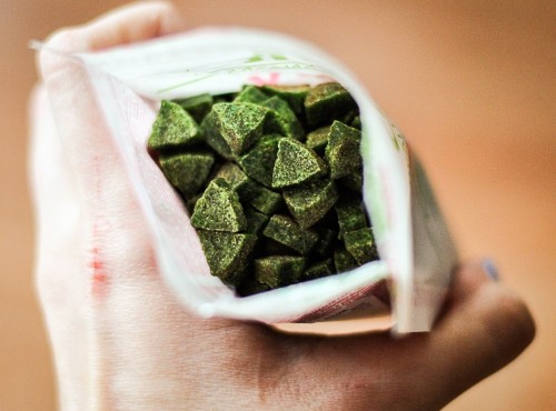 CANVIT Urinary 0.1 kg