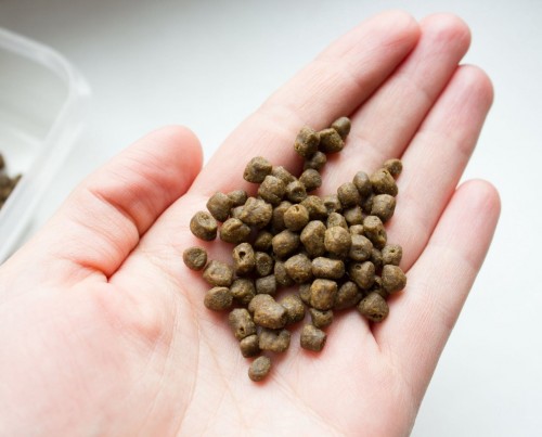 Leonardo Adult Duck 2 kg