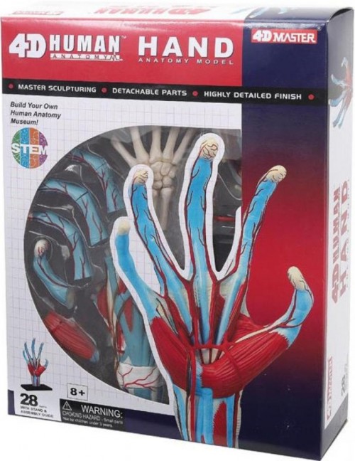 4D Master Hand 626009