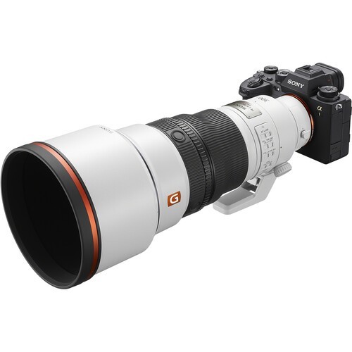 Sony 300mm f/2.8 GM FE OSS